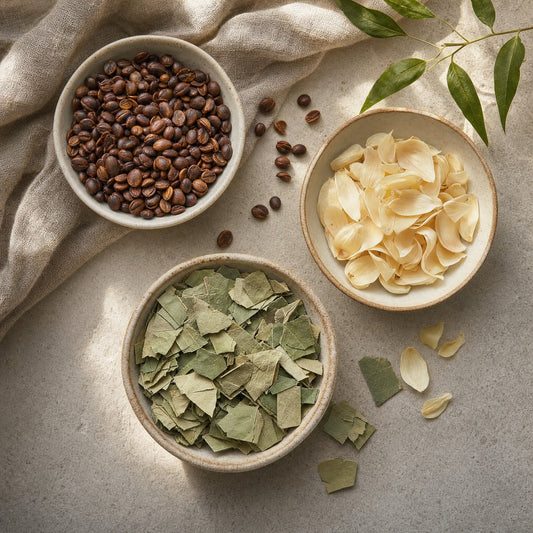 Cassia Lily Fresh Herbal Tea Bags